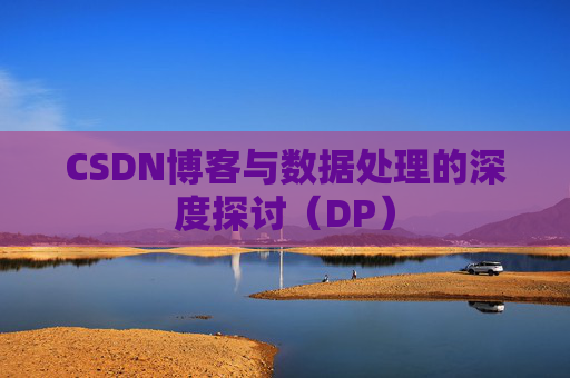 CSDN博客与数据处理的深度探讨（DP）
